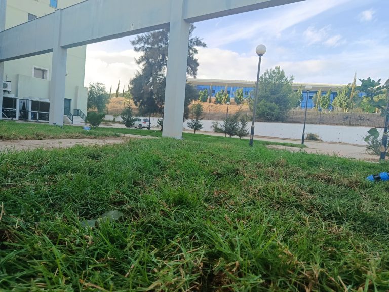 تعزيز المسؤولية البيئية من خلال عمليات تنظيف وتجميل الفضاءات الخارجية